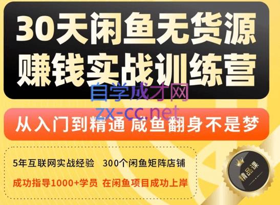 创业海盗·30天玩赚闲鱼实战训练营（第五十六期），价值3998元