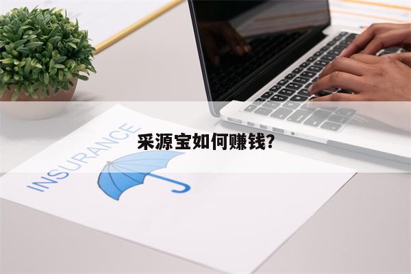 采源宝最新赚钱方式？（采源宝开店上货源的步骤）